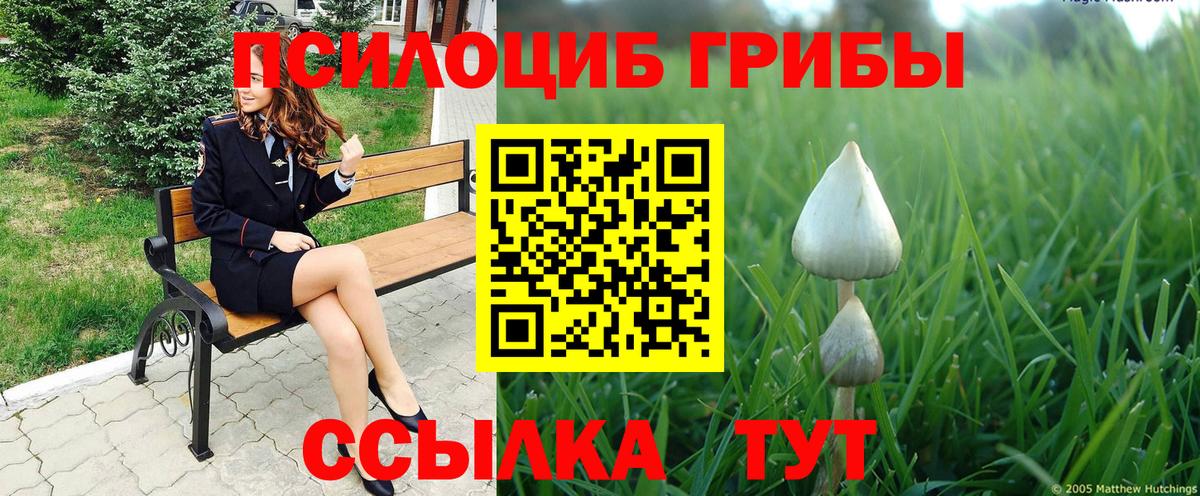 Псилоцибиновые грибы ЛСД  Вход с VPN  Ачинск  Псилоцибиновые грибы ЛСД 