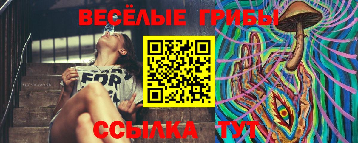 Галлюциногенные грибы Psilocybine cubensis Ачинск